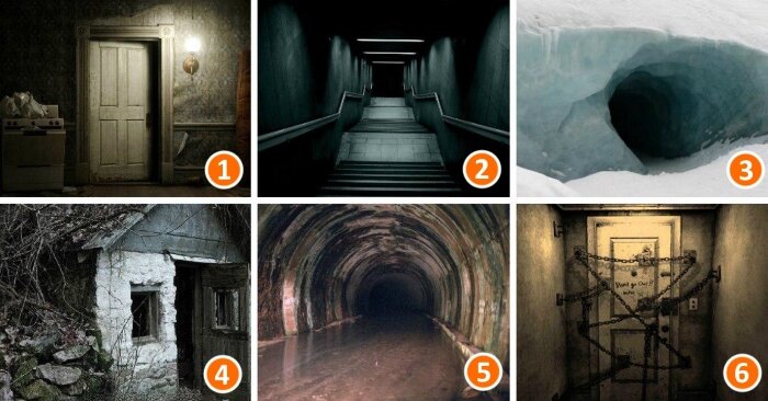 Этот выбор отражает важные черты твоего характера и указывает на некоторые особенности личности.