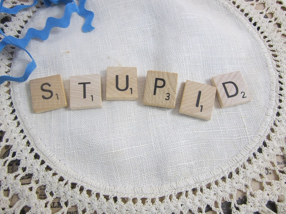Источник: https://cdn.pixabay.com/photo/2016/03/09/00/09/stupid-1245103_960_720.jpg