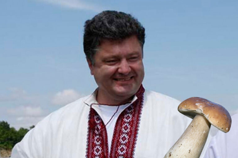 С Порошенко за грибами