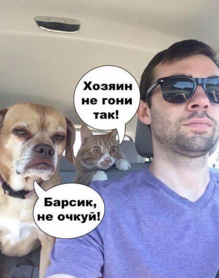 Это мы ещё глаз хозяина не видим...
