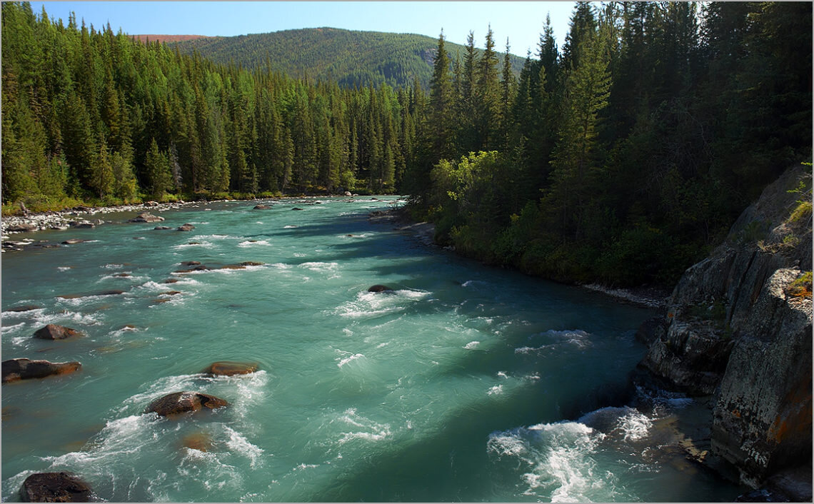 Фото из свободного доступа "Яндекс-картинки"