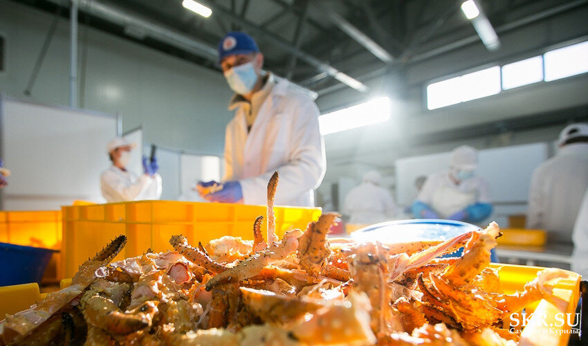Фото предоставлены «Приморской рыболовной компанией»