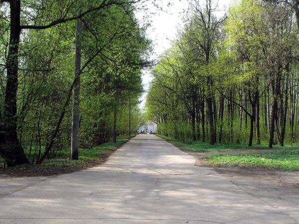 Бывший проезд Малого Гая. Ныне - аллея в лесопарке Кусково.