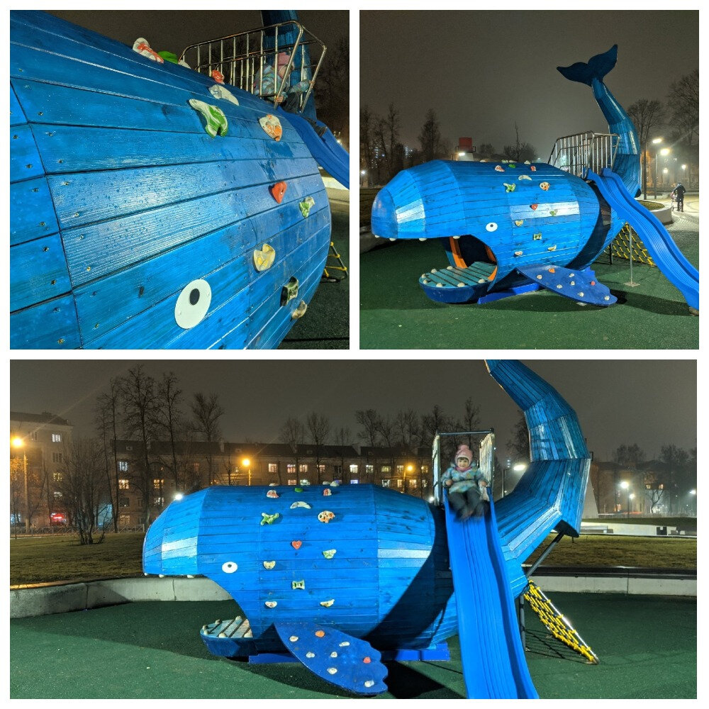 Фото: n71.ru
 