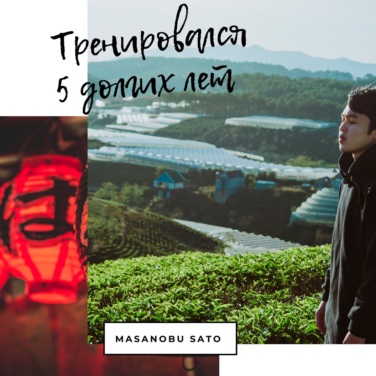 Источник: приложение Canva