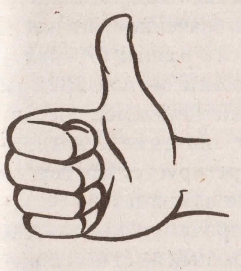 Фото из интернет источника