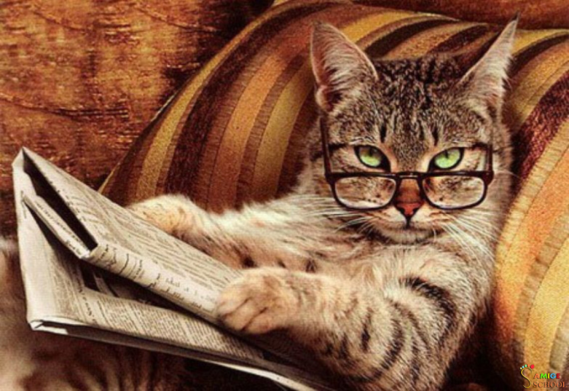 А ты уже открыл ИИС?