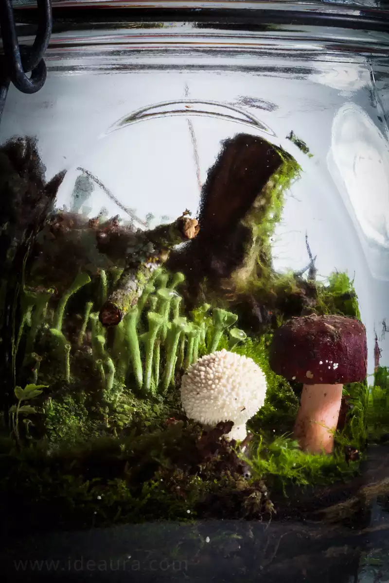 фото из Яндекс, картинки