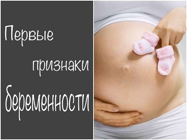 Фото взято из открытого источника