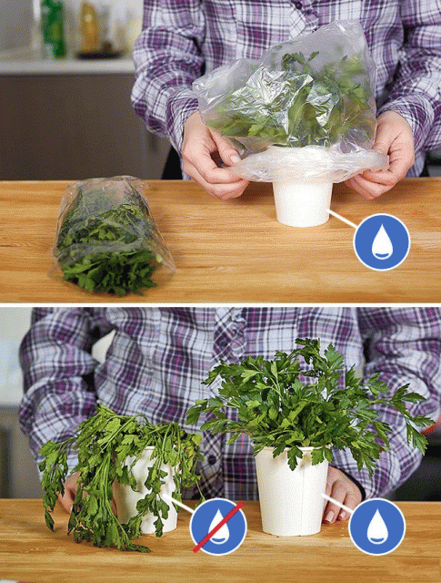 Мы проверили этот лайфхак и он действительно работает. Разница видна.


