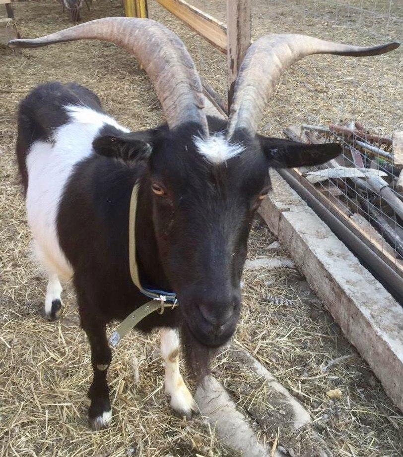 Фото авторов