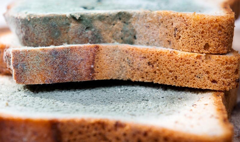 Плесень на торте. Отравление плесенью. Заплесневелые продукты могут явиться причиной. Плесень на хлебе. Плесень на хлебе.