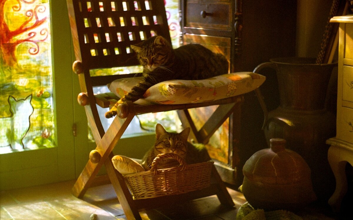 Оригинал фото: https://sun9-16.userapi.com/c858432/v858432543/132d26/CplmJS3Vinc.jpg 