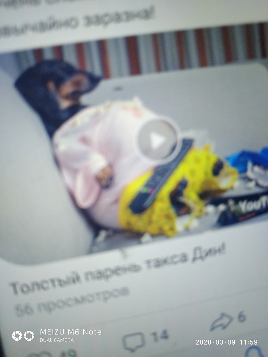 Такса Дин,он отдыхает и немного вес набрал,только это ведь не страшно,заниматься спортом стал