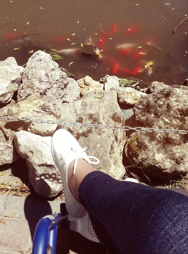 Загадывайте желание, золотые рыбки его обязательно исполнят :)