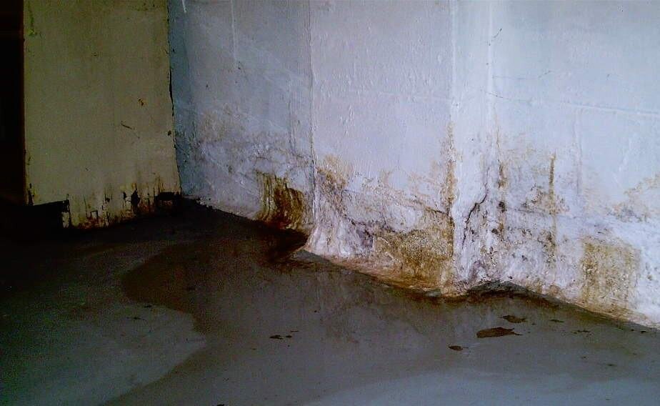 Сырость провоцирует появление плесени и разрушение конструкции постройки