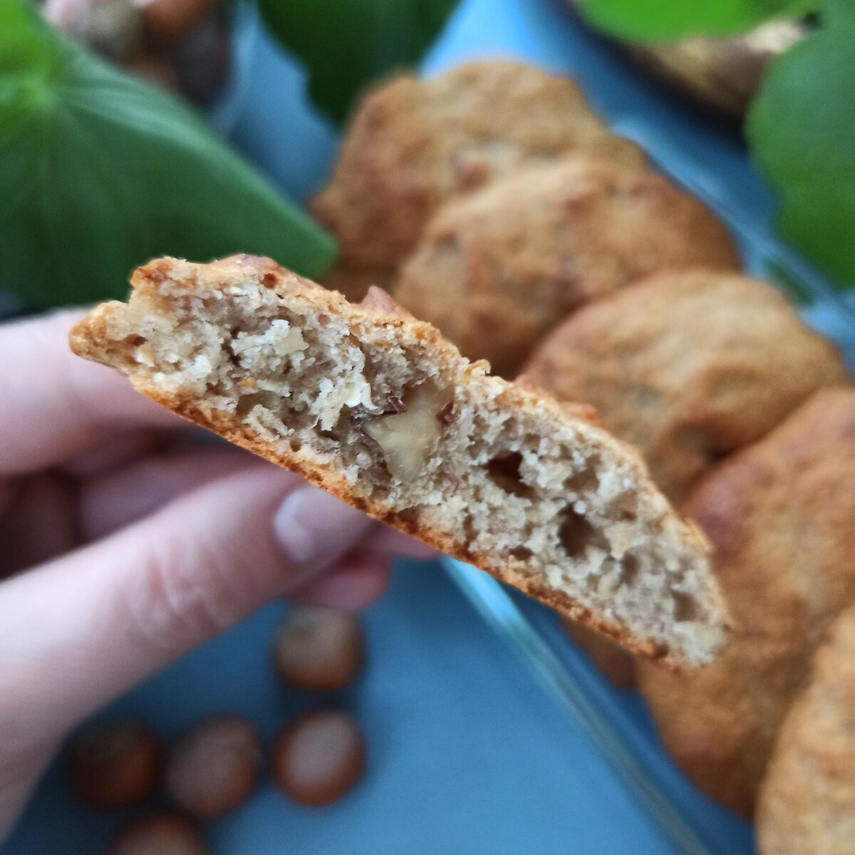 Печенье постное из овсянки