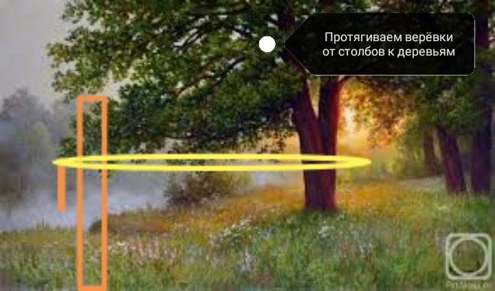Укрепляем с помощью деревьев