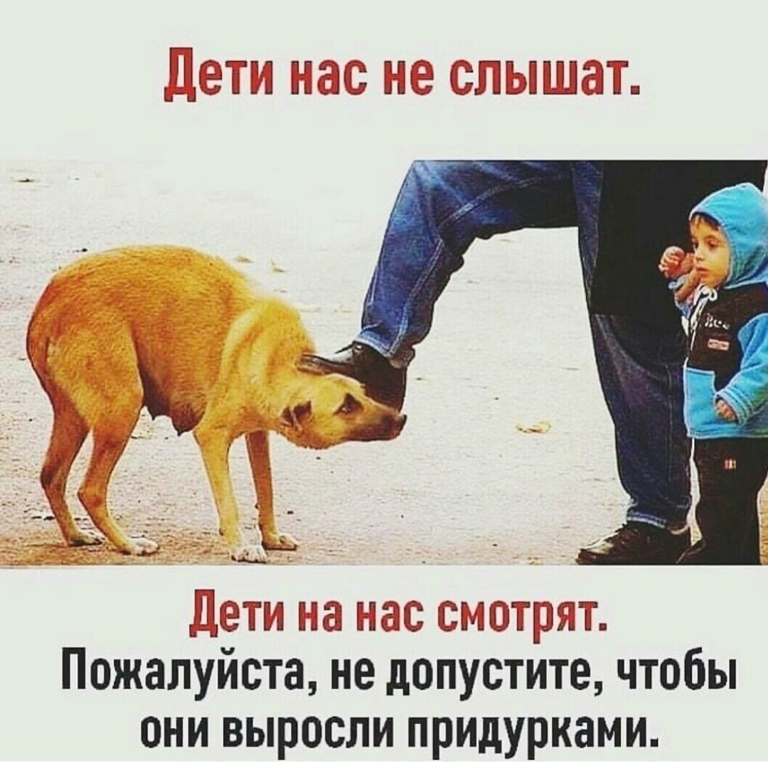 Дети копируют родителей цитаты