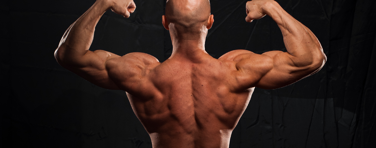 Пойти и потратить калории в зале: популярная схема