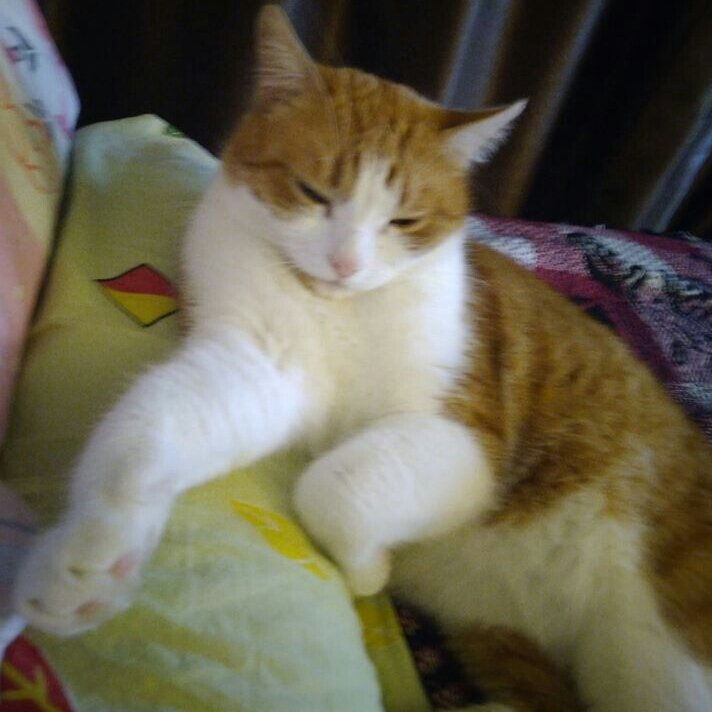 Фото автора истории. 