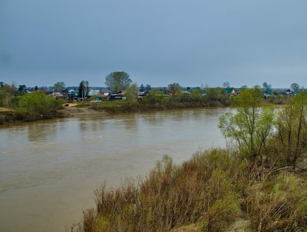 Уровень воды в реке чумыш. Река Чумыш Заринск. Тальменка мост через Чумыш. Река Чумыш Алтайский край. Река в Заринске.