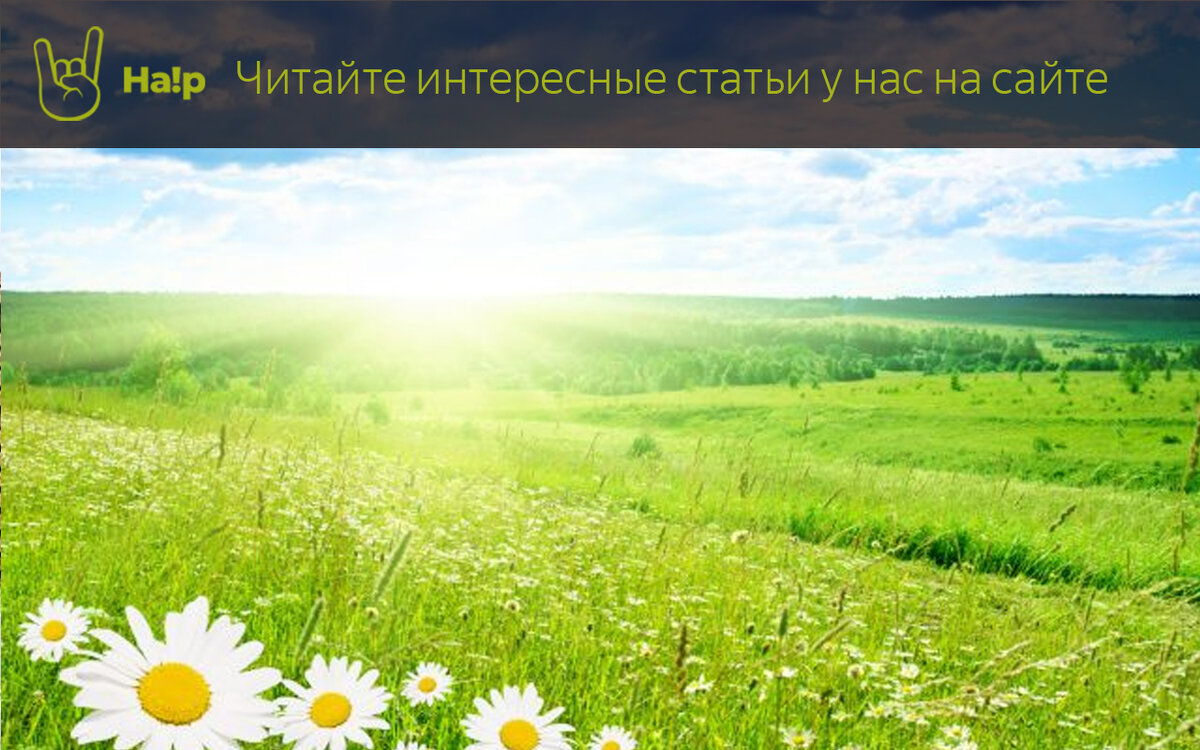 А как я в армию пошел, да из родного дома»: как выглядели знаменитости в  армии | Haip.info | Дзен