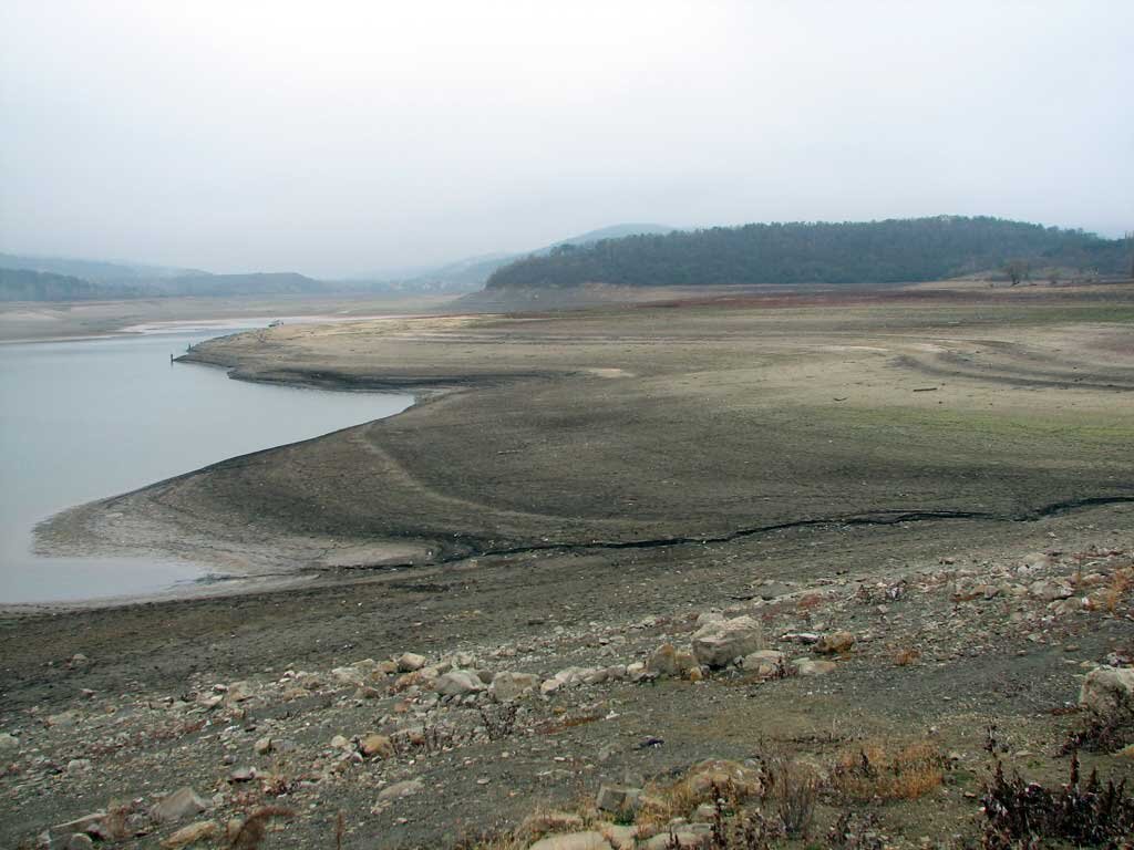 Фото Яндекс картинки