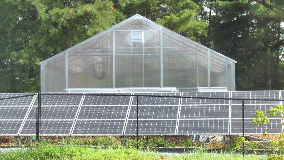 Теплицы с солнечными панелями в скором времени могут передать быть экзотикой