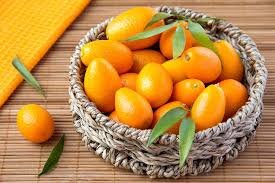    Кум кват – золотой апельсин Керкиры (Корфу) Кум кват или золотой апельсин, цитрусовое дерево родом из Китая, где его культивируют с XII века.-2