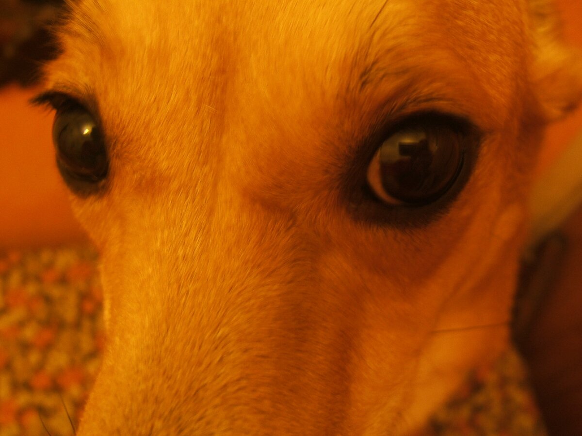 Это Ума в молодости