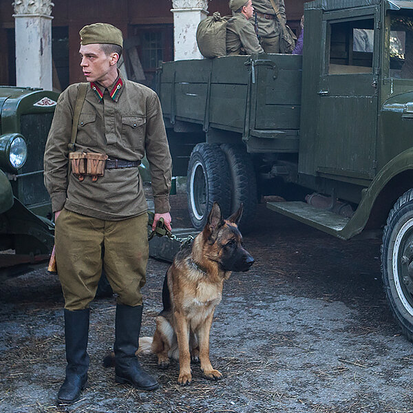 Фото джульбарса из фильма джульбарс