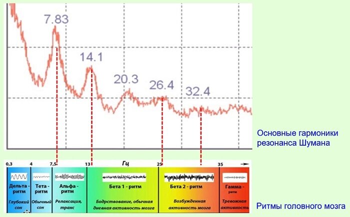 Рис2. Соответствие Ритмов мозга человека и гармоник сердцебиения земли.