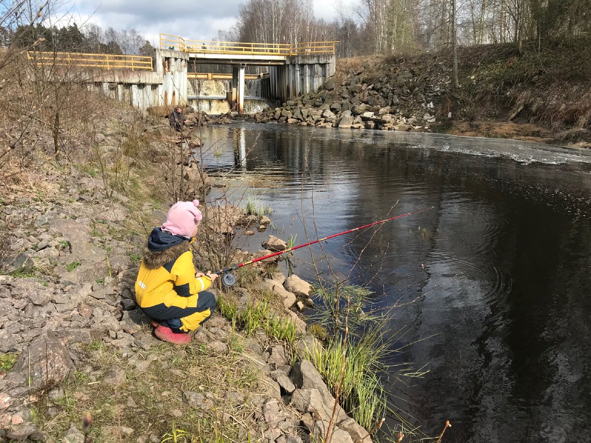 Старшая ловит на тесто
