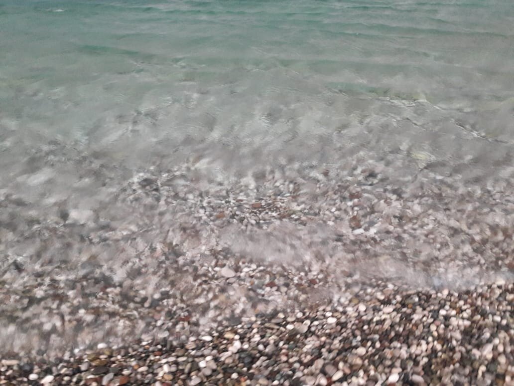 Фотография автора. 