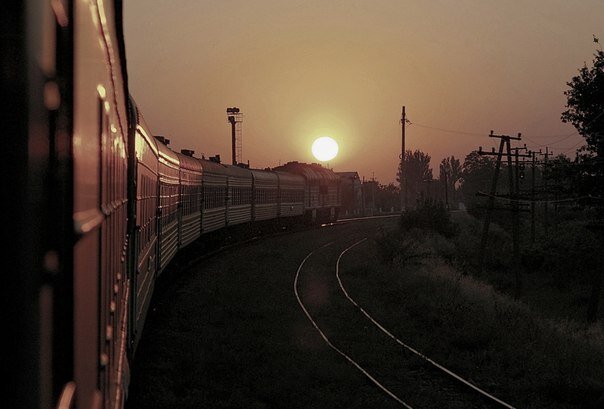 Фото из интернета 