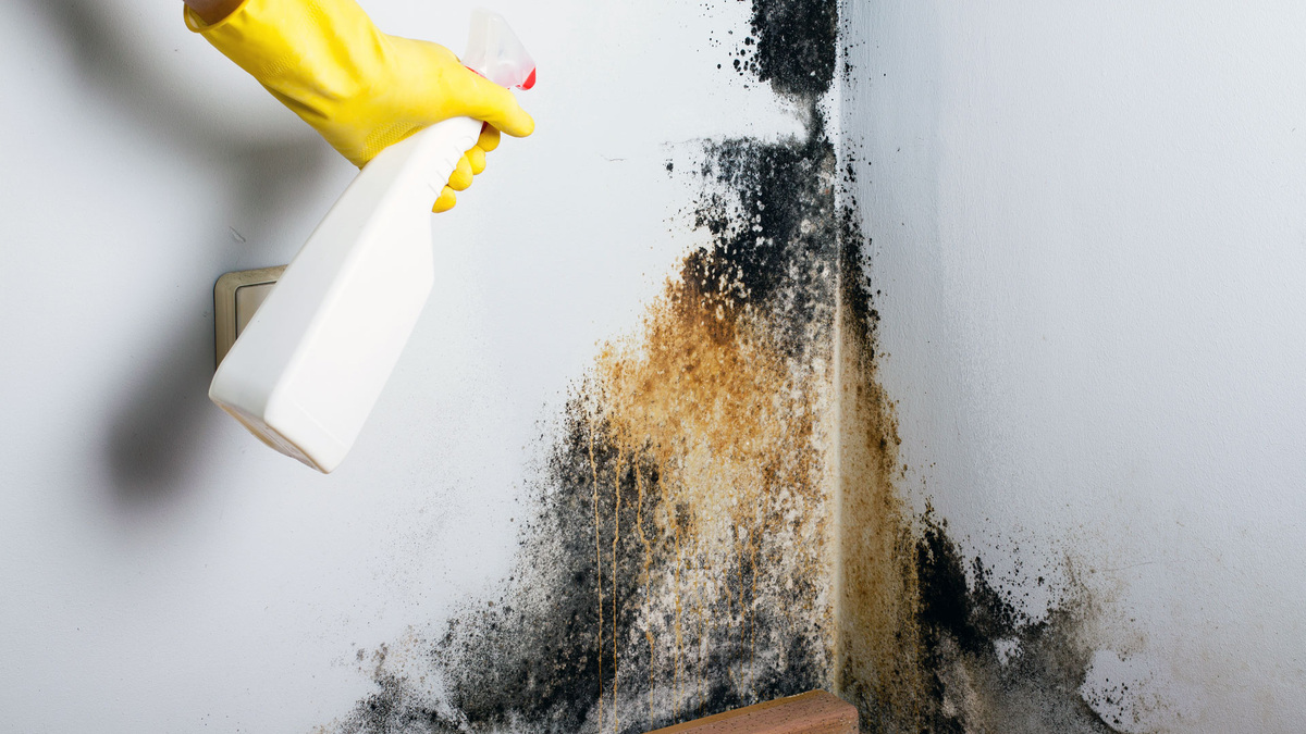 запах в квартире что делать