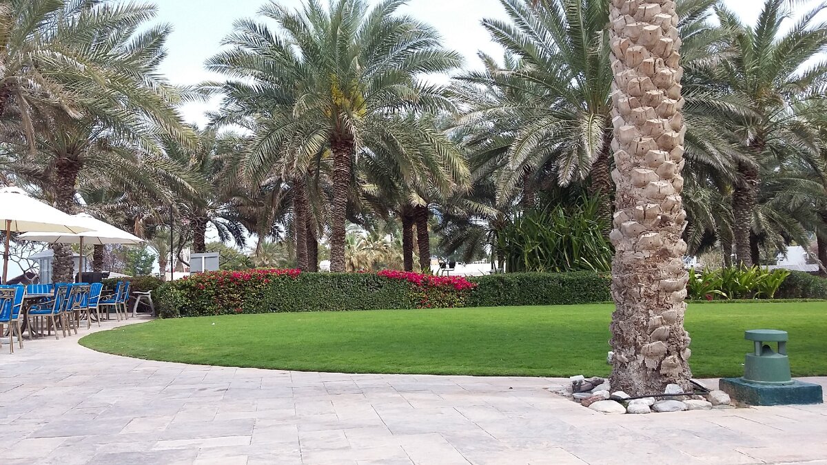 Осень в Дубае, фото от Виктории