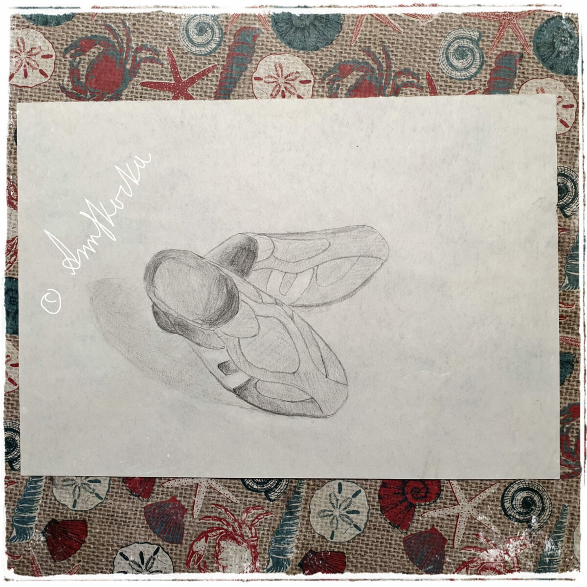 Остались лишь их рисунки... 