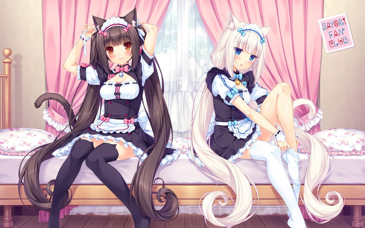 NekoPara Vol.1 (обзор на моэге, нян) | Обзоры новелл и аниме | Дзен