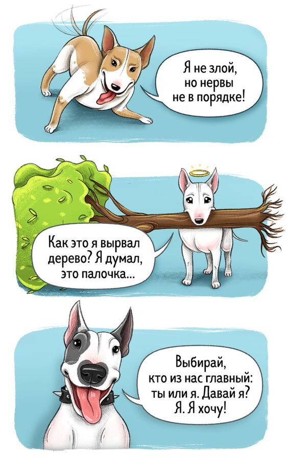 Бультерьер