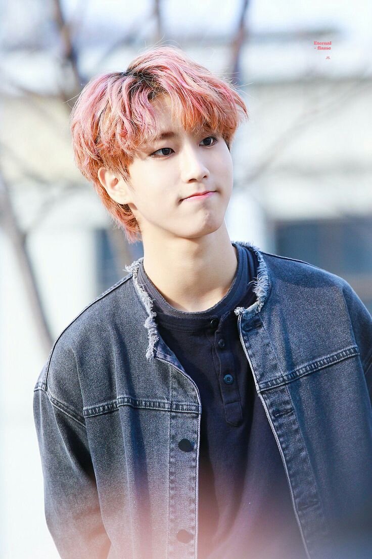 Тоже мальчик из Stray Kids. Знакомтесь - Хан Джинсон