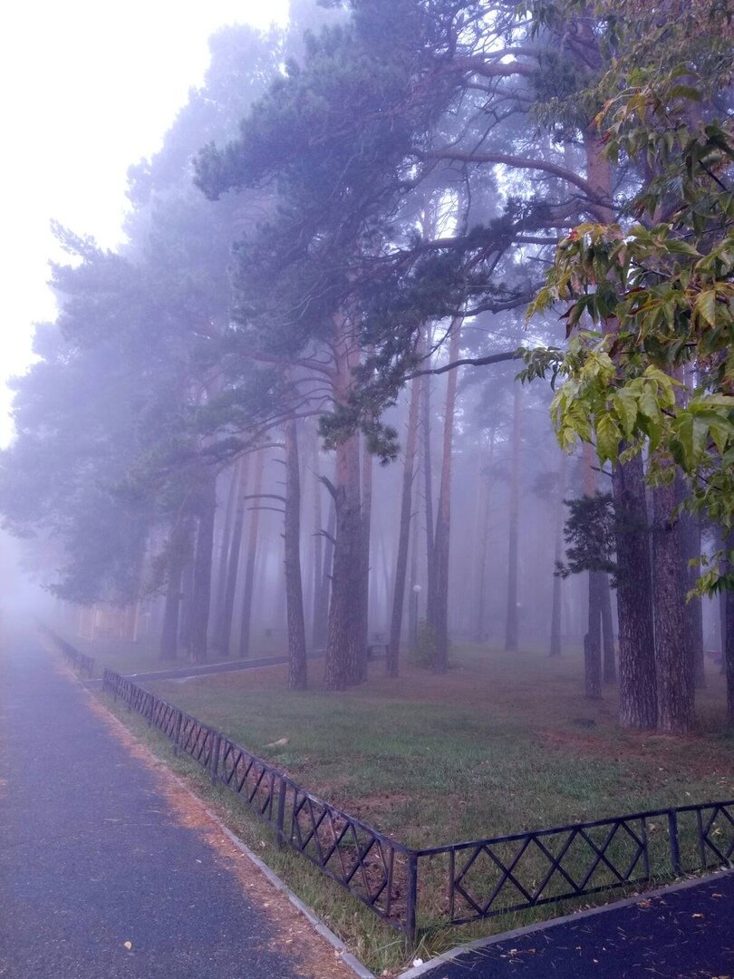 Фото автора,прогулка по нашему парку...