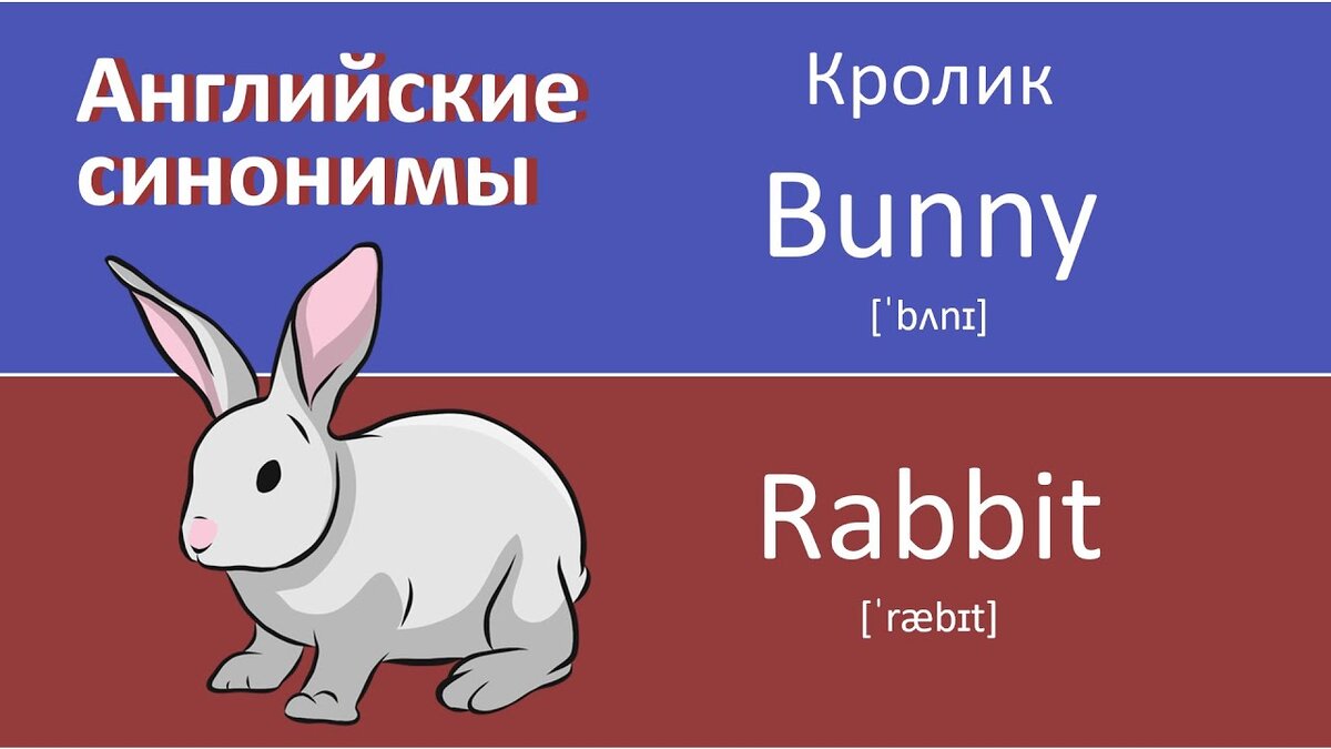 Проект о слове заяц. Заяц на английском с транскрипцией. Заяц транскрипция 2. Заяц транскрипция 2. Словарное слово заяц в картинках.