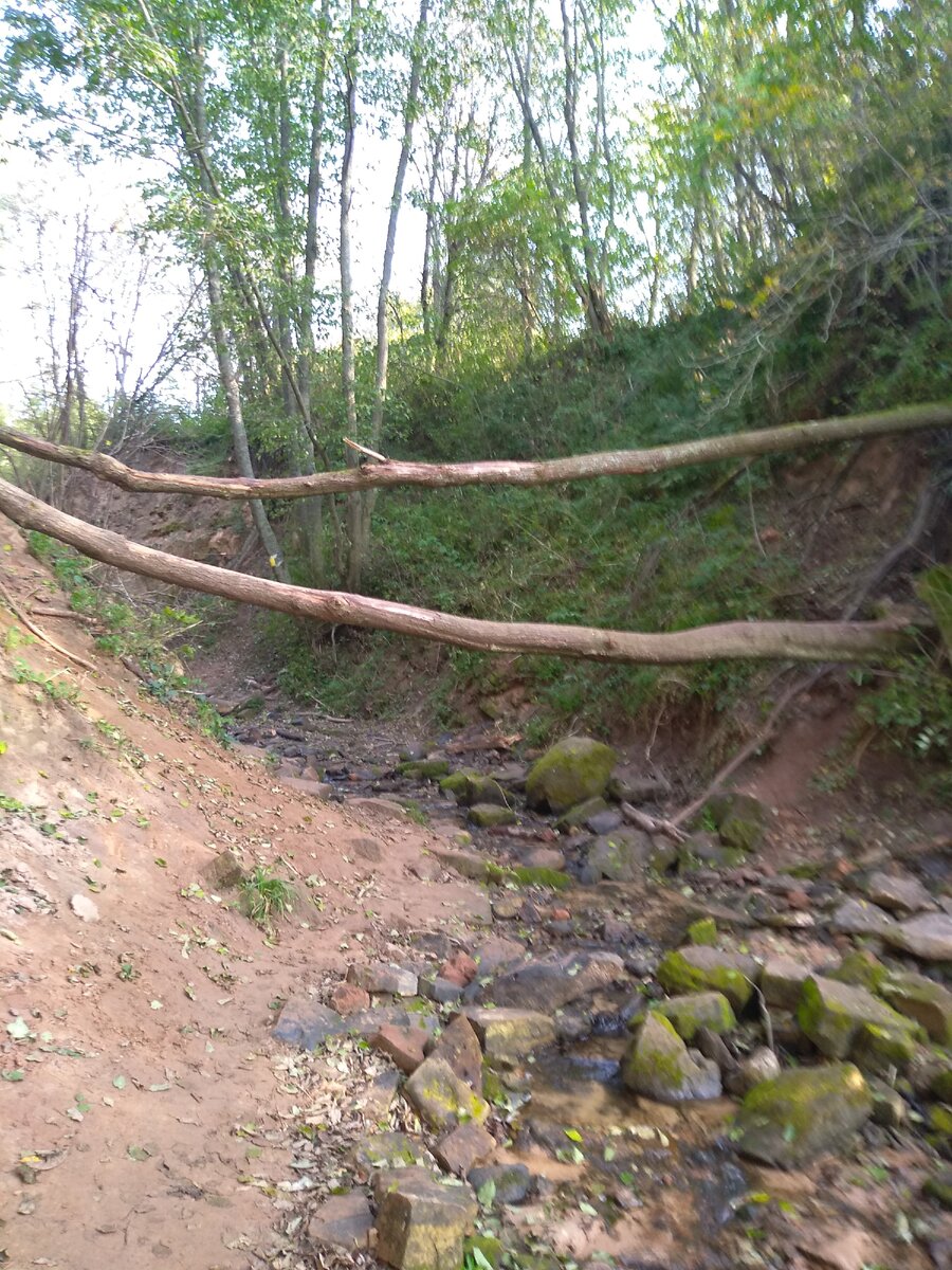 Дорога к водопаду.