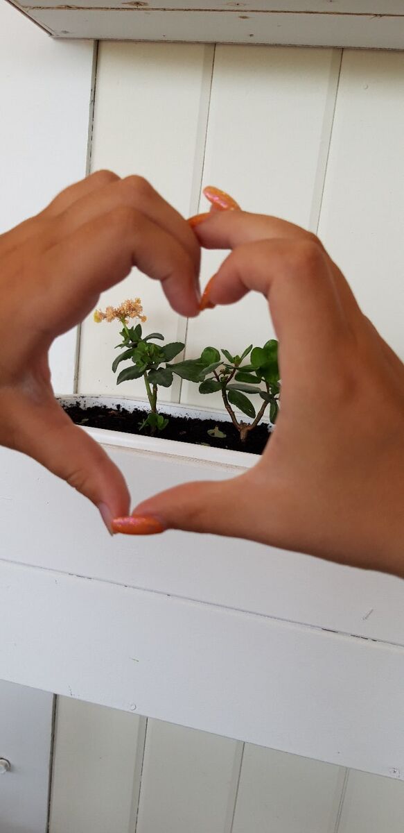 Именно любви мне не хватало в раннем детстве