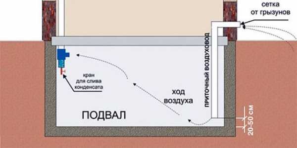 Устройсво перекрытия погреба в гараже