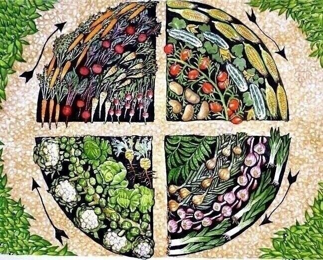 принцип севооборота 