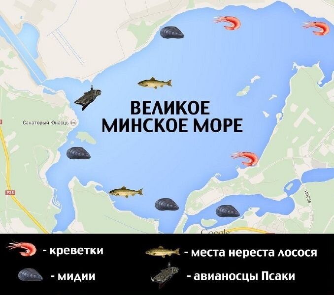 Белорусское море. Источник: https://udf.by/pras/108322-belarus-teryaet-status-kartofelnoy-derzhavy-v-minskom-more-nashli-krevetok.html