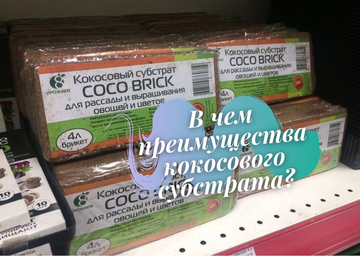 Зачем садовод осенью огэ. Кокосовый субстрат для черенков. Как разводить кокосовый субстрат. Субстрат "кокосовый". Как разбавить кокосовый субстрат для земли под рассаду.